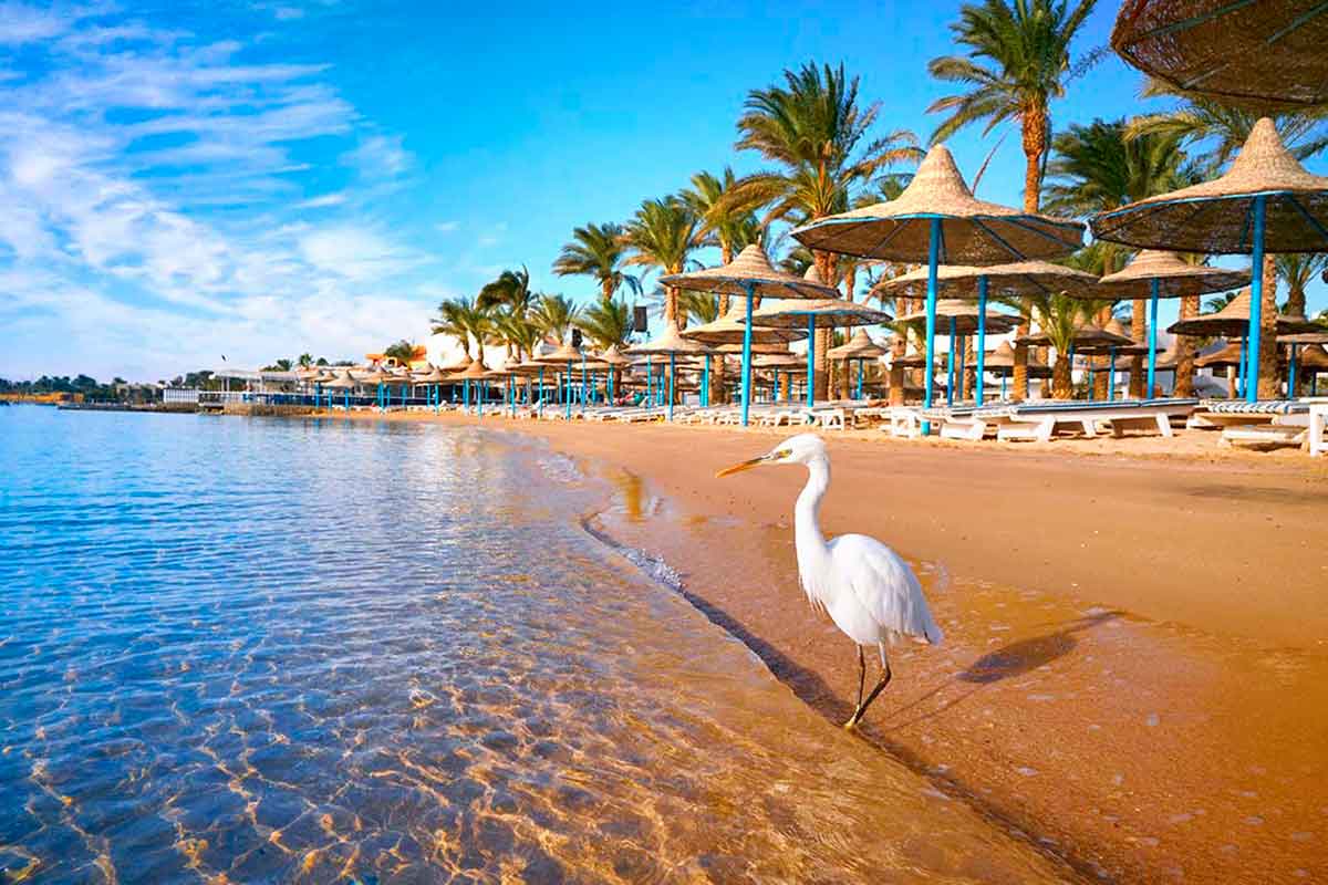 destination-card-image